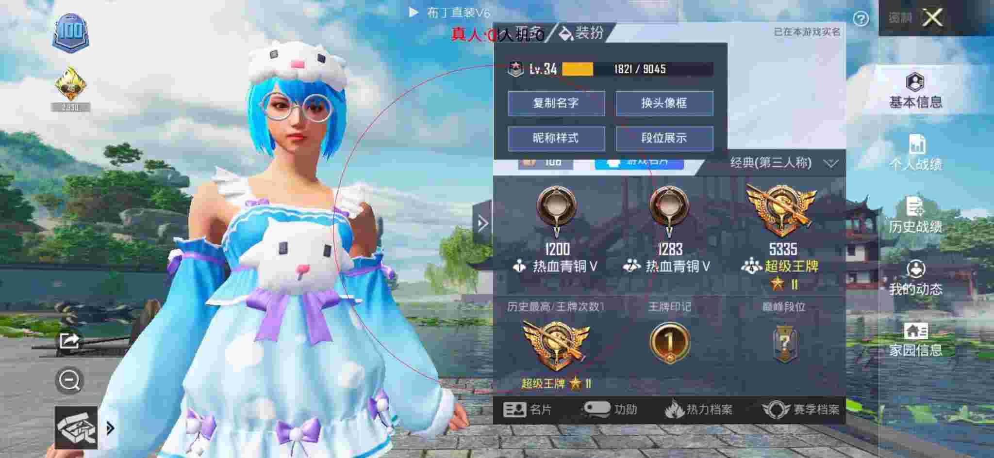 和平精英布丁直装透视 - 和平精英职业选手拍卖辅助预览图